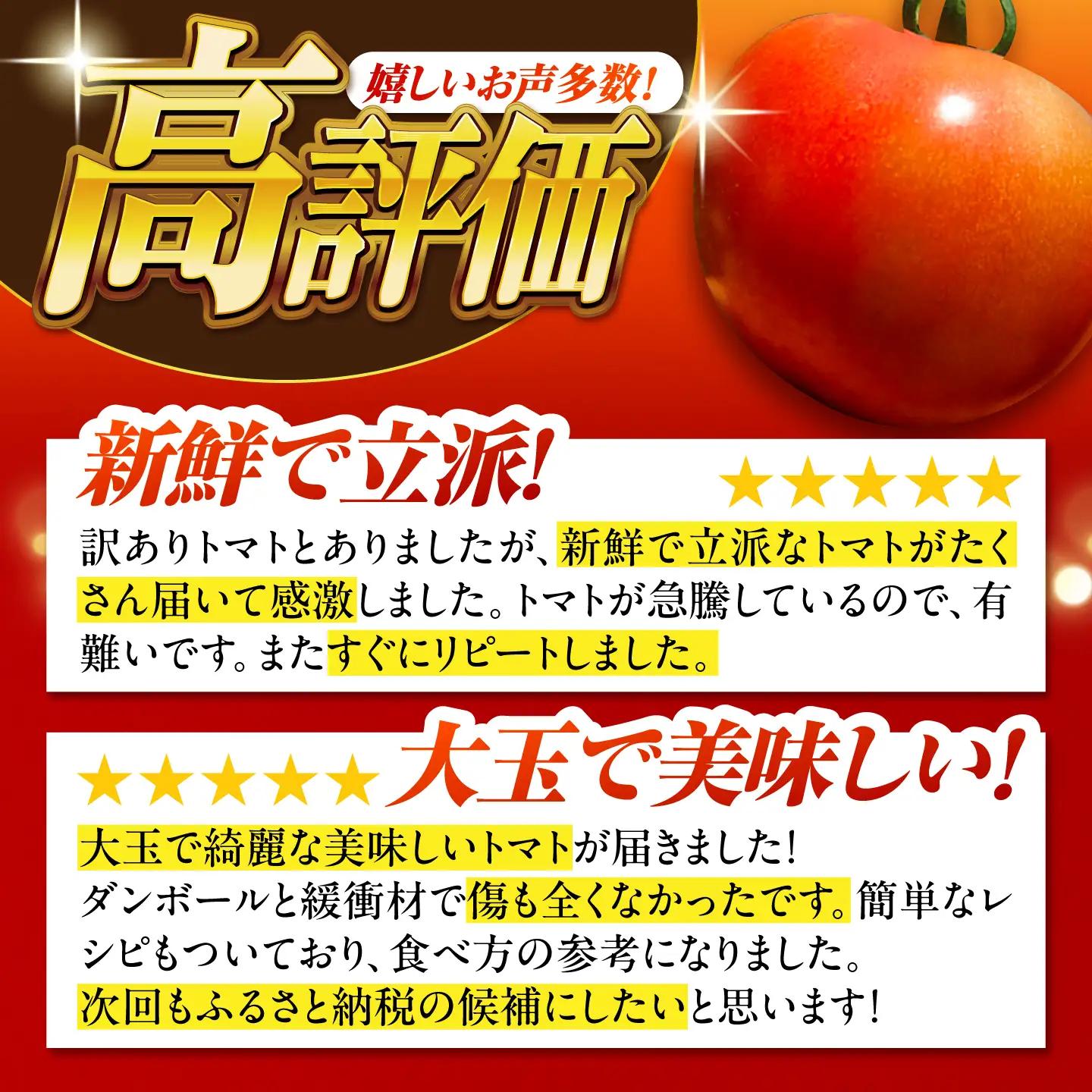 【2週間以内に発送！】 訳あり大玉トマト 4kg / 恵那市 / クリエイティブファーマーズ [AUAH016]