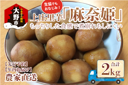 【先行予約】【年内お届け】上庄里芋「麻奈姫」2kg「農家直送」【11月初旬～順次発送】