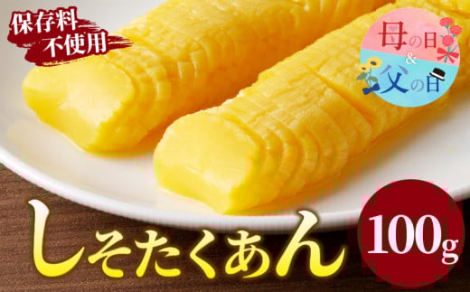 【父の日までにお届け】＼ポスト投函／しそたくあん100g 漬物 おかず 野菜 加工品 国産_T037-003-FA