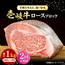 【ふるさと納税】【全2回定期便】 壱岐牛 ロースブロック 500g《壱岐市》【株式会社イチヤマ】 肉 牛肉 ロース ブロック ステーキ BBQ[JFE116]