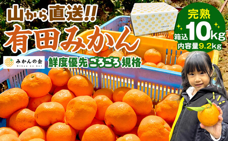 有田みかん 訳あり みかん 約9.2kg  和歌山県産