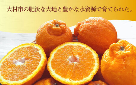 【2026年4月中旬発送開始】長崎県産 不知火 約5kg / 不知火 果物 フルーツ 柑橘 デコポン でこぽん 家庭用 柑橘 みかん 産地直送 旬 / 大村市 / かとりストアー[ACAN005]