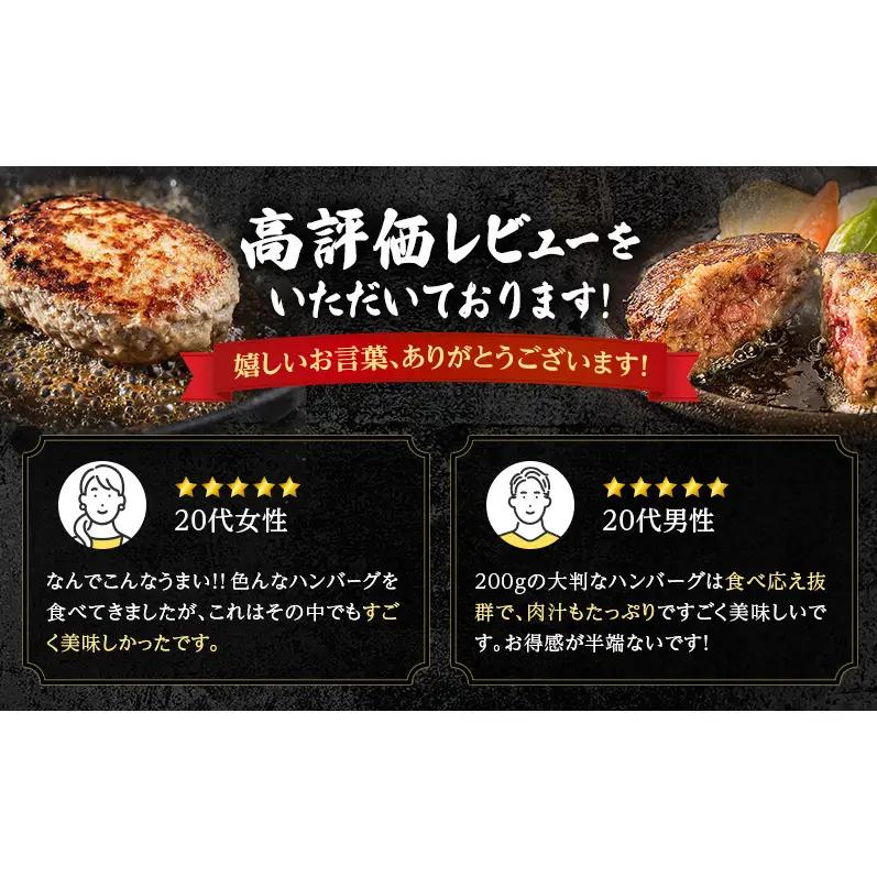 手ごねハンバーグ 200g×9個 十勝牛 ハンバーグ