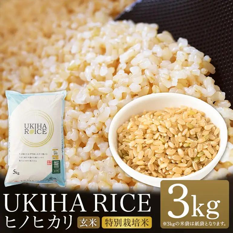 【ふるさと納税】玄米 ひのひかり UKIHA RICE 3kg 特別栽培米 ヒノヒカリ 令和7年産 米 こめ ご飯 コメ ごはん ヘルシー 送料無料 国産 国産米 福岡 返礼品 お弁当 家庭用 ギフト プレゼント 仕送り お取り寄せ うきは市 株式会社みずほファーム