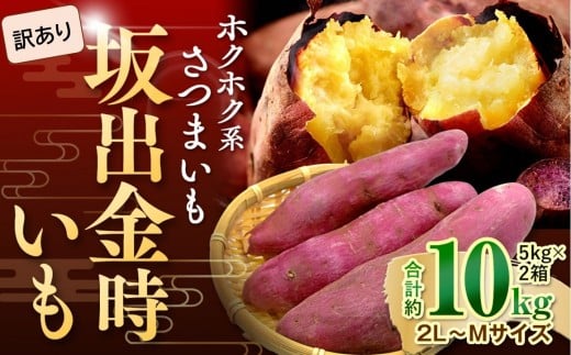 ＜2026年8月下旬以降発送・先行予約＞【訳あり】坂出金時いも　約5kg×2箱　2L～Mサイズ | さつまいも 芋 サツマイモ いも 坂出金時いも 金時いも 金時 焼き芋 訳アリ 訳あり ホクホク ホクホク系 先行予約 人気 おすすめ 香川県 坂出市