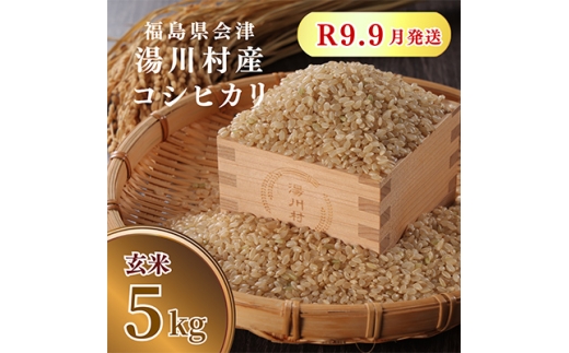令和8年産湯川村産コシヒカリ(玄米) 5kg  R9.9月発送分【1773911】