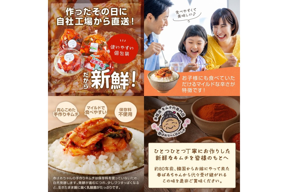 【A-816】春ばあちゃんの手作りキムチ4点セット