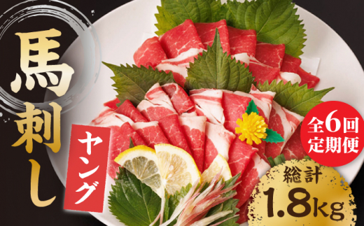 【6回定期便】ヤング馬刺し 計300g（3pc）＋タレ小 馬刺し ヤング 馬刺し 馬肉 桜肉 馬 肉 便利 小分け 3パック タレ付き コリコリ 歯ごたえがある 首周りのお肉 冷凍 生食 肉食 刺身 九州 熊本県 特産品 山鹿 送料無料 【馬刺しの郷 民守】[ZBL074]