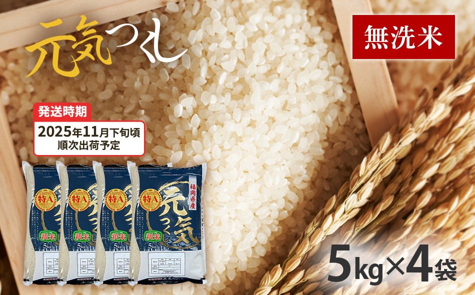 
                   令和7年産　福岡県産ブランド米「元気つくし」無洗米20kg【11月下旬頃より順次出荷予定】
                
