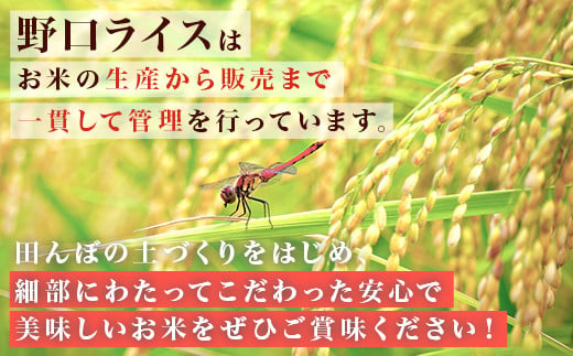 220-1【令和7年産】茨城町産 無洗米 ふくまる 10kg(5kg×2袋)【野口ライス】