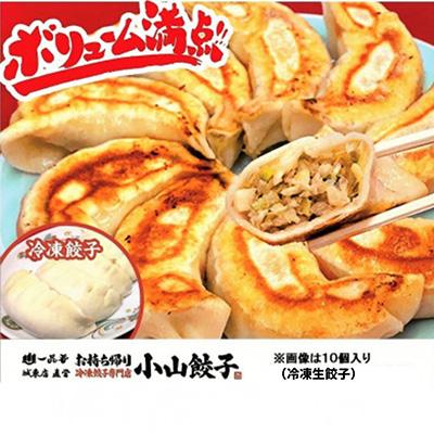 ふるさと納税 小山市 冷凍餃子専門店 小山餃子[Sセット全45個] ひとくち餃子30個/大きい餃子15個 |  | 01