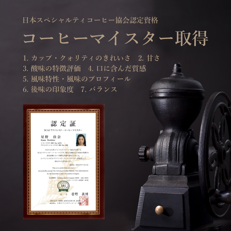 Music Blend コーヒードリップバッグ詰合せ【OneNote Coffee Roaster】｜煎りたて コーヒー 直送 プレゼント ドリップバッグ 珈琲 詰め合わせ ブレンドコーヒー ドリップ
