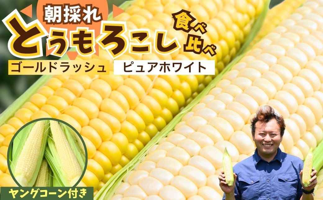 
            とうもろこし ゴールドラッシュ ピュアホワイト 食べ比べ 4本 ＋ ヤングコーンセット | トウモロコシ コーン ヤングコーン 白とうもろこし 黄色とうもろこし 白黄色 夏野菜 野菜 採れたて 朝採れ 新鮮 アップヒルファーム 埼玉県 所沢市
          