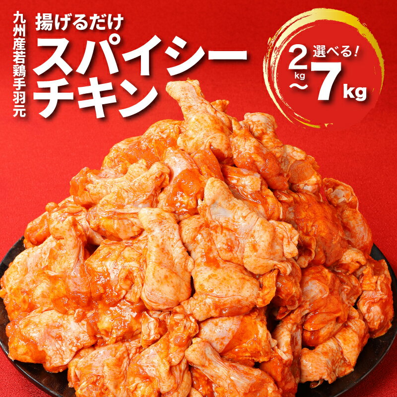 訳あり！九州産若鶏手羽元 揚げるだけスパイシーチキン8kg【宮崎県木城町】