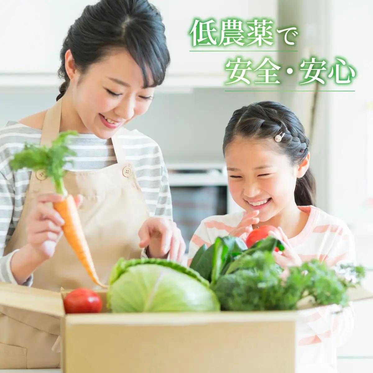 新鮮野菜オリジナル詰め合わせセット【フレッシュ市場・花菜夢】