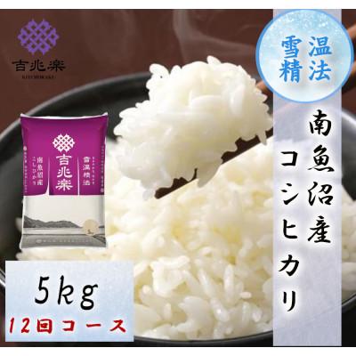 ふるさと納税 南魚沼市 【毎月定期便】【2026年10月下旬発送】南魚沼産こしひかり5kg　契約栽培　雪蔵貯蔵米 全12回