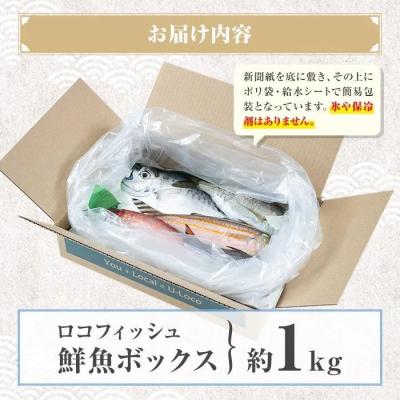 ふるさと納税 肝付町 漁師厳選!ロコフィッシュ(地魚) 下処理済鮮魚ボックス(約1kg)【エコ包装】　P78001 |  | 03