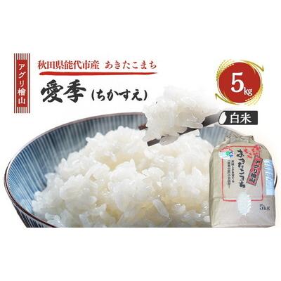 ふるさと納税 能代市 令和7年産 アグリ檜山米 愛季 白米 5kg  あきたこまち[No.5335-1665]