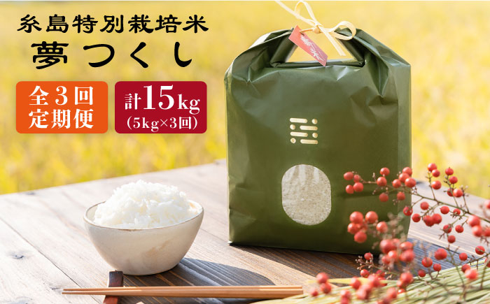 
            【令和7年産】【全3回定期便】とくべつの中のとくべつ 糸島 特別栽培米 5kg （ 夢つくし ）《糸島》【itoshimacco / 株式会社やました】 [ARJ027]
          