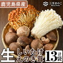 【ふるさと納税】数量限定！原木生しいたけと生えのき茸セット(13袋・合計2.7kg) 国産 椎茸 個包装 小分け きのこ えのき茸 しいたけ 椎茸 シイタケ 詰め合わせ セット【三笠えのき茸生産組合】a-12-222-z