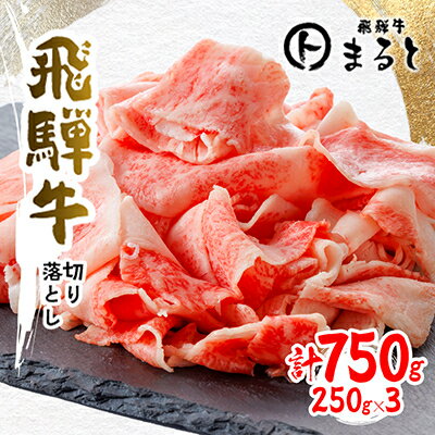 【ふるさと納税】【飛騨牛】切り落とし250g×3　合計750g_ 牛肉 飛騨牛 すき焼き 切落し 訳あり 肉 お肉 切り落とし 薄切り すきやき 黒毛和牛 ワケアリ牛肉 養老町 まると 【配送不可地域：離島】【1731551】