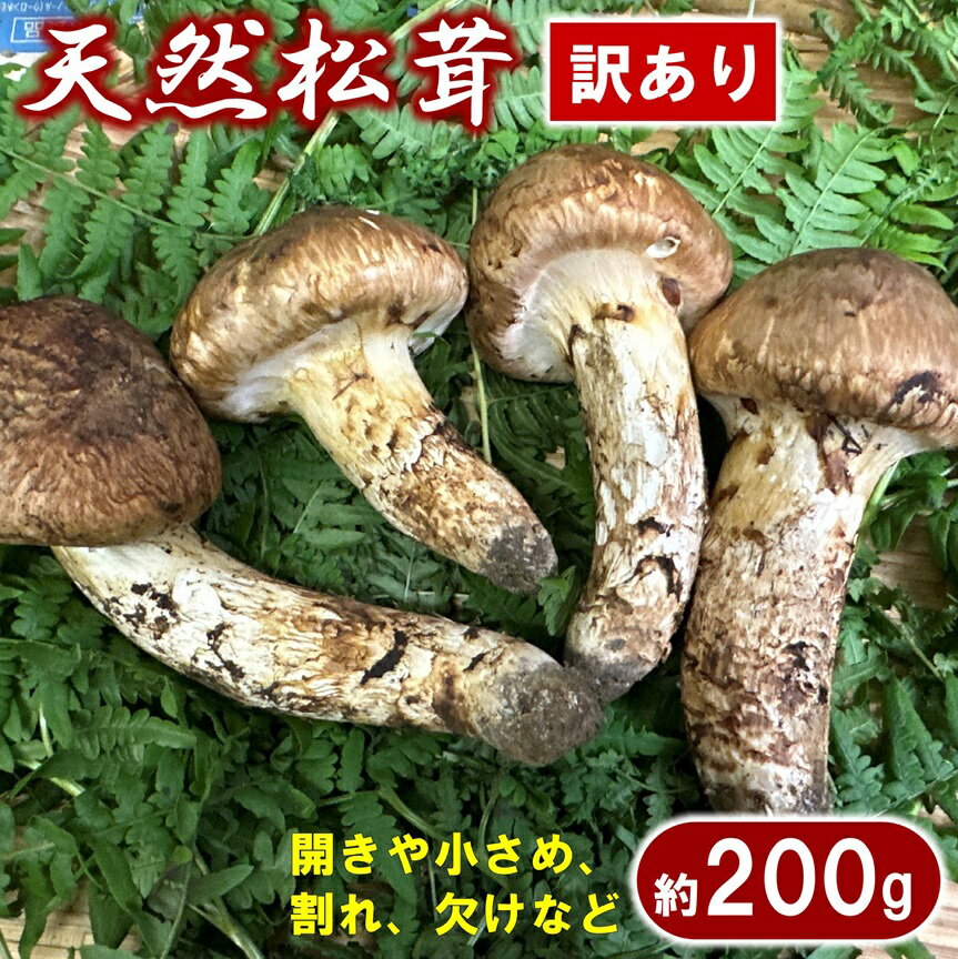 【ふるさと納税】 松茸 【期間限定】 岩手県産 天然松茸 約200g 訳あり 【開きや小さめ、割れ、欠けなど】 家庭用