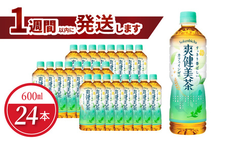 爽健美茶 PET 600ml（24本入） ノンカフェイン  ブレンド茶 植物の恵み 水分補給 人気 コカ・コーラ