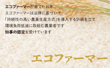 【令和7年産】【6ヶ月定期便】こしひかり 15kg×6回 計90kg（白米）「エコファーマー米」水のまちのお米[J-003002]