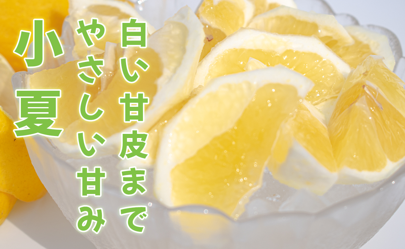 甘口 小夏 3kg 家庭用 日向夏 ニューサマーオレンジ 柑橘 みかん ノーワックス こなつ くだもの 果物 産直 旬の果物 お取り寄せ 産地直送 フルーツ 爽やか スッキリ 甘い 高知県 大月町産 