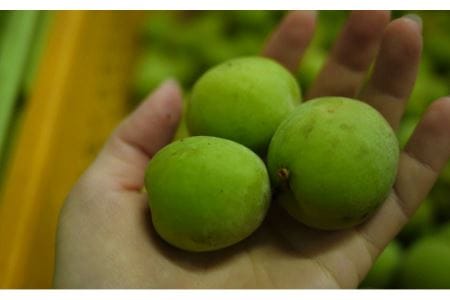 臼杵産かぼすをブレンドした梅酒「かぼすと梅酒のものがたり」２本セット