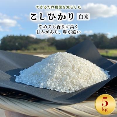 ふるさと納税 行方市 令和8年産新米【できるだけ農薬を減らした】こしひかり白米5kg