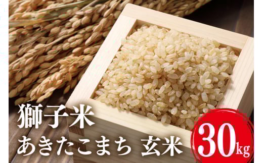 【令和7年産】獅子米 あきたこまち 玄米30kg お米 米 玄米 おこめ ブランド米 30キロ 国産 コメ こめ ご飯 銘柄米 茨城県産 茨城 産直 産地直送 農家直送 ごはん 家庭用 贈答用 お取り寄せ 茨城県 石岡市 B02-057
