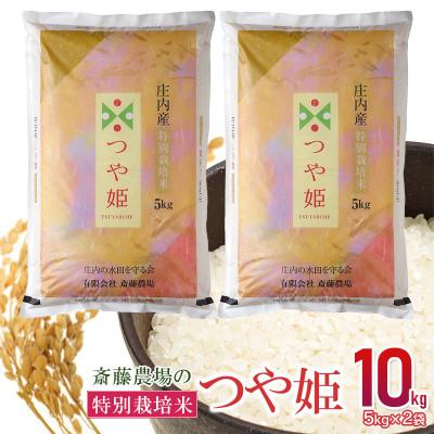 ふるさと納税 鶴岡市 【令和7年産】斎藤農場の特別栽培米 つや姫 計10kg(5kg×2袋) [K-7120]
