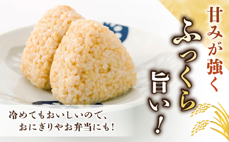 【里山JAPAN】長野県産！生きた土壌で育った御牧原米こしひかり 玄米（令和7年産）　5kg｜2025年10月上旬以降に発送予定 玄米玄米玄米玄米玄米玄米玄米