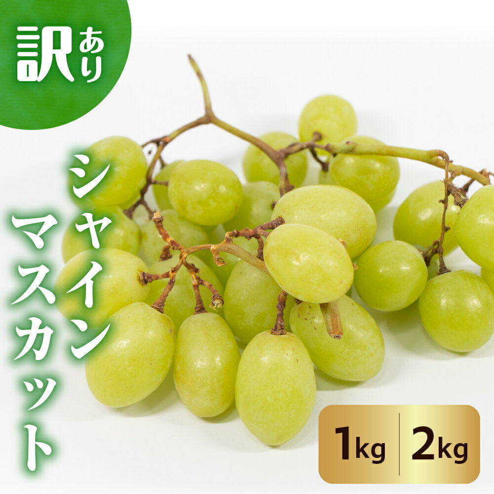 【ふるさと納税】令和7年産【 訳あり 】シャインマスカット (選べる: 1kg / 2kg ) | 2025年産 先行予約 ぶどう 葡萄 果物 フルーツ 種なし 家庭用 わけあり お取り寄せ 産地直送 山形県産 山形県 米沢市 《2025年9月中旬から配送開始》 秋 旬 規格外 不揃い 傷