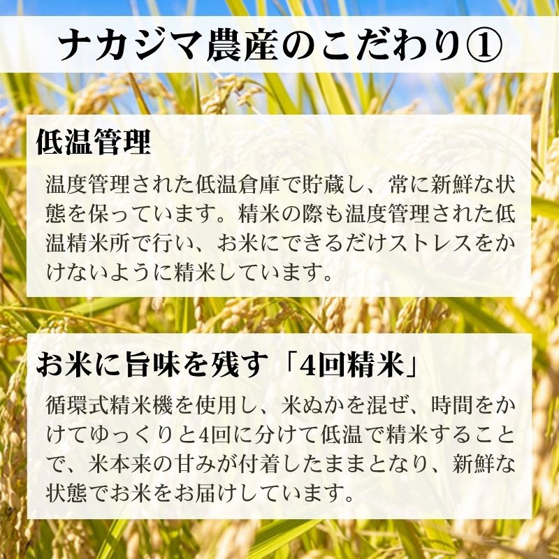 令和7年産 定期便偶数月発送（10kg×6回分）10kg 米 新潟県産 コシヒカリ  精白米 謙信秘蔵米  お米  こめ コメ