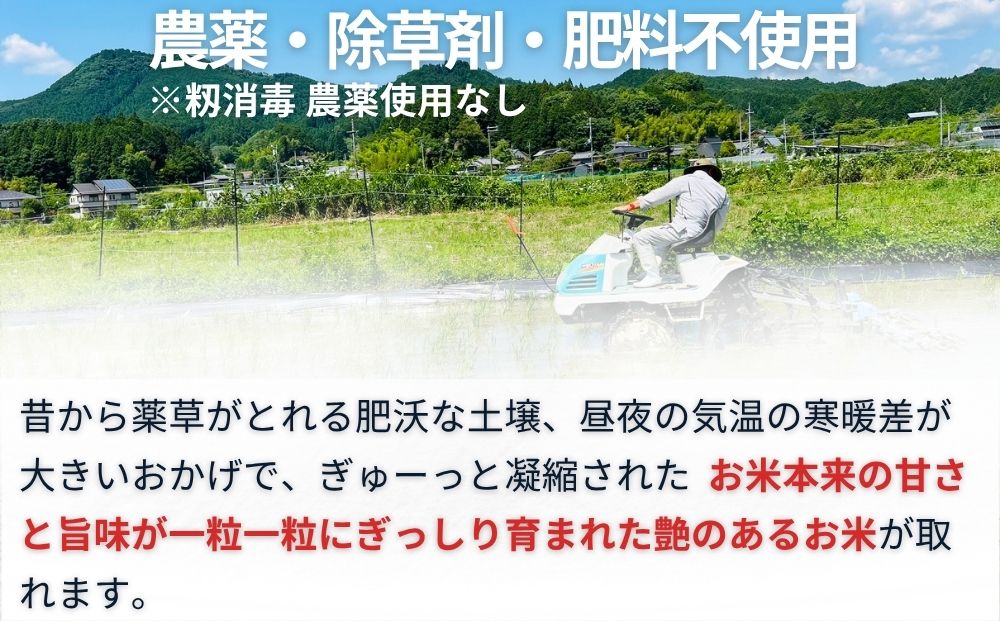【定期便12回】自然栽培米 玄米 ＜令和7年産 3kg＞ ／ ふるさ