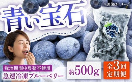 【全3回定期便】青い宝石 国産 急速冷凍ブルーベリー 約500g 果物 くだもの フルーツ ぶるーべりー 熊本県 菊陽町【アグファーム株式会社】[BHCX008]