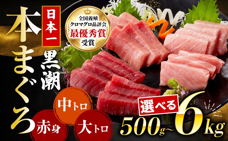 
                  本マグロ 中トロ 赤身 大トロ 3種 500g 1kg 6kg 日本一 まぐろ トロ クロマグロ 黒マグロ 刺身 冷凍 刺し身 鮮魚 本鮪 まぐろ赤身 鮪 魚介 魚 マグロ 漬け 食べ比べ 国産 養殖まぐろ 高級 養殖 人気 寿司  ユッケ 海鮮丼 さしみ お正月 冊  全国養殖クロマグロ品評会 ランキング 1位 高知道水 宿毛市 高知県
                