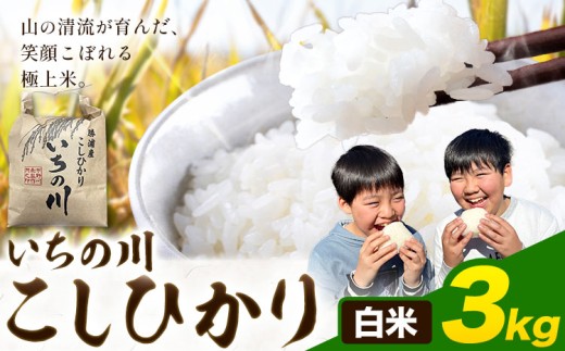 米 こめ コメ 令和7年産 いちの川 コシヒカリ 白米 3kg 市野川米製作所 《30日以内に出荷予定(土日祝除く)》米 ご飯 こしひかり