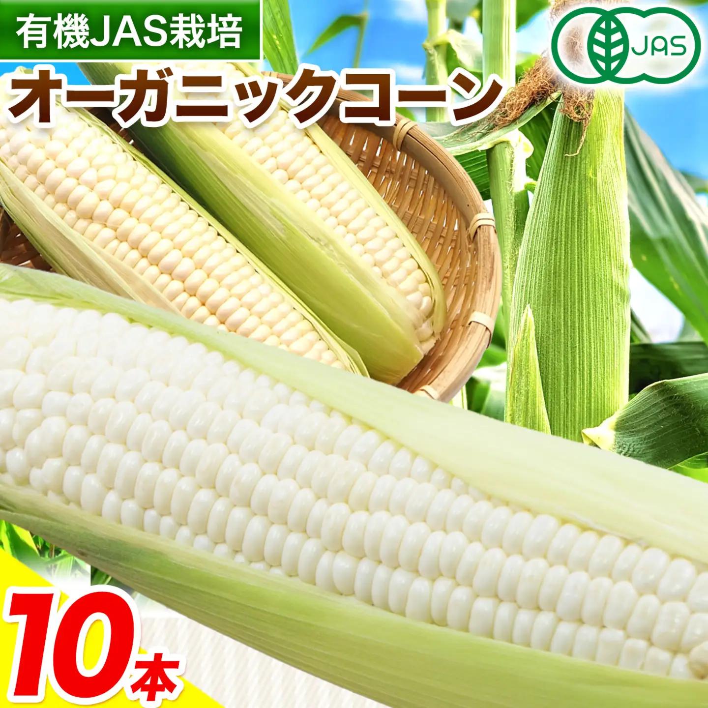 北海道産 オーガニック ホワイトコーン 10本 2026年予約 伊場ファーム