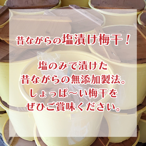 梅干セット 大梅 小梅 箱入り 各480g 《 2025年10月中旬 ～ 順次出荷 》 梅干し 梅干し 梅干し
