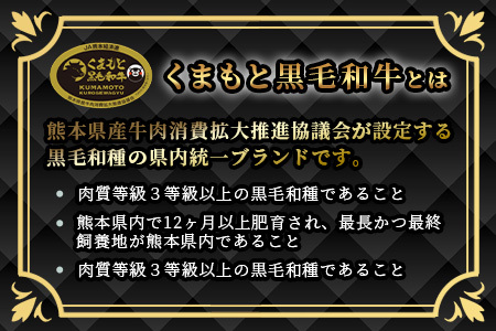 【A4～ A5等級】くまもと黒毛和牛モモステーキ 約500g ( 100ｇ×5P ) ≪ ブランド 牛肉 肉 赤身 モモ ステーキ 500g 大容量 小分け ご馳走 和牛 国産 熊本県 上級 上質 ≫