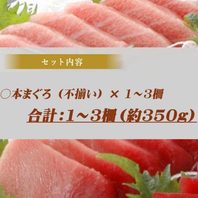 ふるさと納税 室戸市 訳あり 天然本まぐろ 不揃い柵 合計350g たっぷり 堪能 |  | 03
