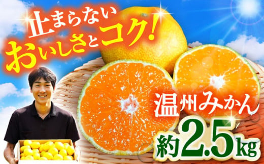 【期間限定】長崎県産 温州みかん 約2.5kg / みかん 柑橘 2.5kg フルーツ 果物 / 大村市 / 山光農園[ACAI001]