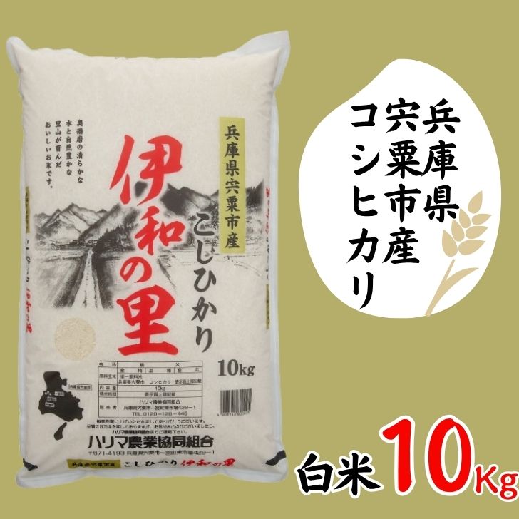 【ふるさと納税】【令和7年産】 コシヒカリ 10kg 精米 「 伊和の里 」 宍粟市産 しそうのおいしい お米 米 コメ こしひかり P8