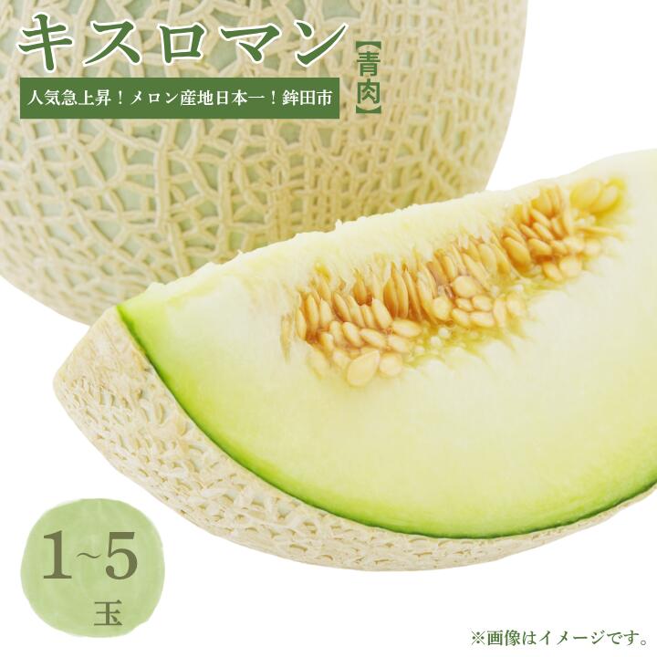 【ふるさと納税】メロン めろん 食べて感じる甘さ！一押し！キスロマン(1〜5個入) 選べる内容量