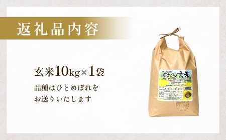 【令和8年産米先行受付】原さんちのお米 玄米 10kg ひとめぼれ 米 お米 こめ コメ  ご飯 ヒトメボレ 常温 大分県 大分 玖珠町 玖珠