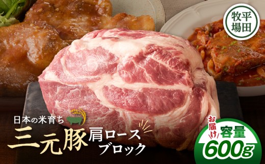 【平田牧場】三元豚肩ロースブロック 600g　T036-016