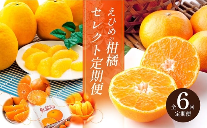 
            えひめの柑橘セレクト6回定期便　 [№5303-0120]
          
